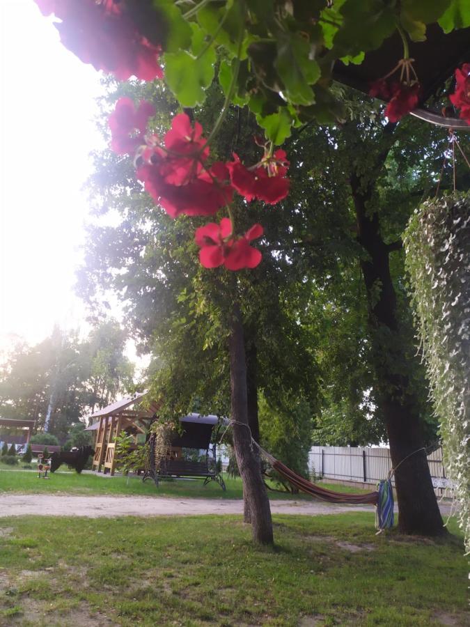 Чорний Лелека Svityaz' ภายนอก รูปภาพ